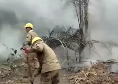 "기후변화 가뭄 때문에" 볼리비아, 산불로 전역 비상사태 선포…국제사회 지원 요청