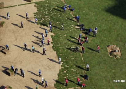 [포토] 서울광장 잔디로 단장중