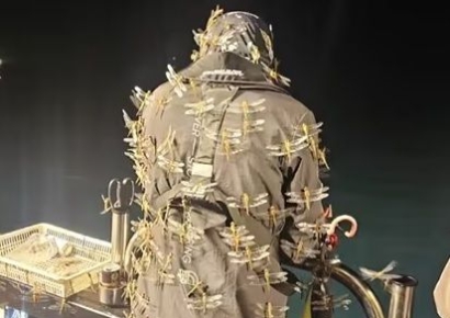 잠자리 패션인가?…제주 강태공에 수 천 마리 다닥다닥