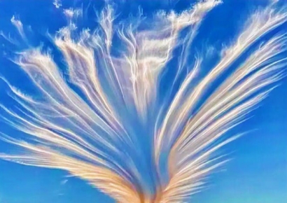 하늘로 솟구치는 봉황 날갯짓…중국서 포착된 신기한 구름