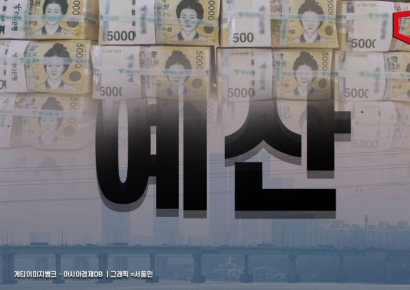 [단독]역행하는 기후정책…미세먼지 감축 예산 176억 삭감됐다