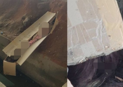 "숲속에 여자 시신 있어요"…신고하러 다가갔더니 '리얼돌'