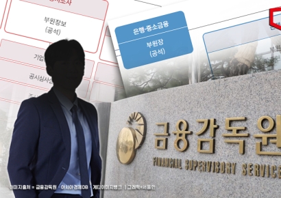 금감원, 법률자문관에 '尹 사단' 천재인 검사 임명