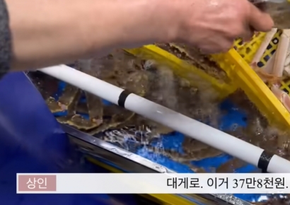 "바가지요금 죄송" 큰절 사과 소래포구, 꽃게 철 맞아 점검 나갔더니 