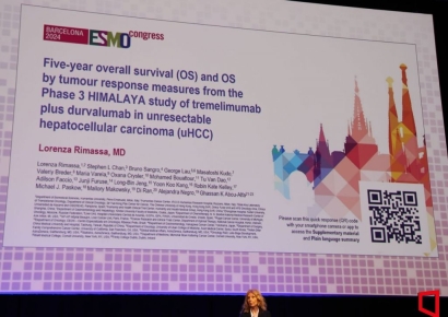 [ESMO 2024]'침묵의 살인자' 간암, 면역항암제 이중으로 쓰니 생존 가능성 커졌다