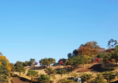 [필드 3GO]크리스탈 밸리 ‘단풍 명품 코스’