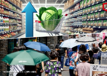 폭염에 배추 한 포기 9000원 훌쩍…지난해보다 70% 뛰었다