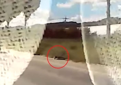 도로에 웬 막대기? 다가가니 사람 다리…경찰 눈썰미에 80대 구조