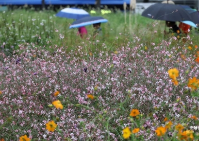 [포토] 진짜 가을이 올까?
