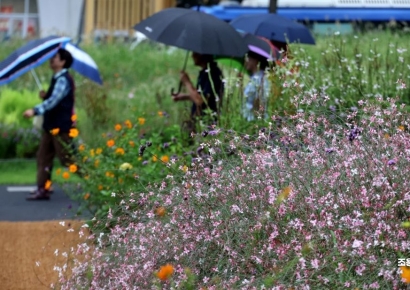 [포토] 가을비와 꽃