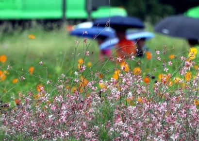 [포토] 비내리기 시작한 서울