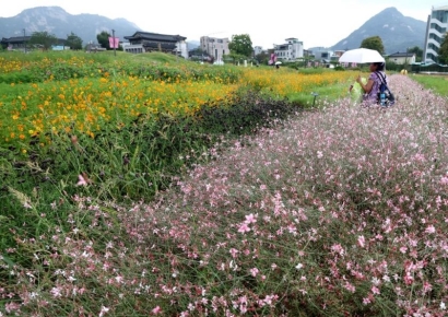 [포토] 폭염 잡는 가을비