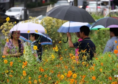 [포토] 비 내리고 나면 가을?