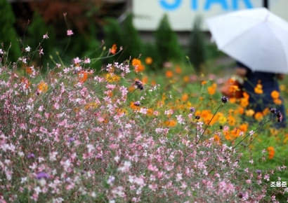 [포토] 이젠 가을이 오려나