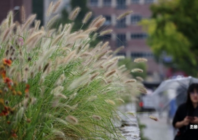 [포토] 가을을 부르는 비