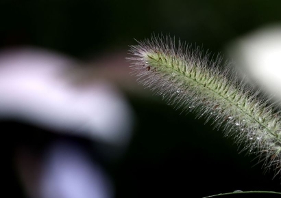 [포토] 가을비 내리는 서울