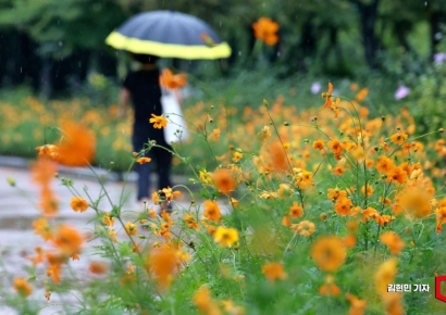 [포토] 가을 재촉하는 비