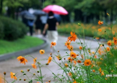 [포토] 가을비 내리는 여의도공원