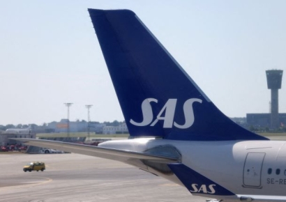 "기내식 뜯으니, 살아있는 쥐가…" 비상 착륙