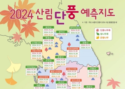 늦게 온 가을…올해  단풍 내달 정점 “시기 점차 늦어져”