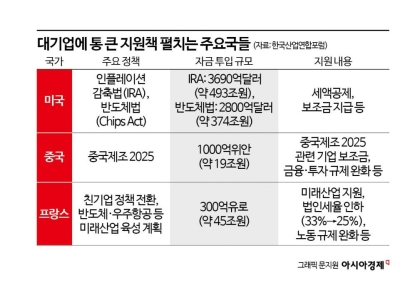 [대기업 비중 최하위]TSMC 키운 대만, 美·中도 못 건드려…세계는 대기업 '통 큰 지원'중