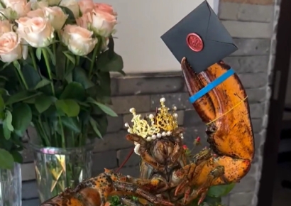 "사후 경련"…몸부림 치는 랍스터 논란에 해명 내놓은 식당