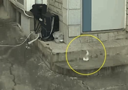 "현관에 쌓인 쓰레기 알고보니…이웃이 창문 열고 버렸어요"