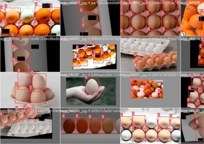 '알 낳지 않는 닭' 찾는 AI 기술 나왔다