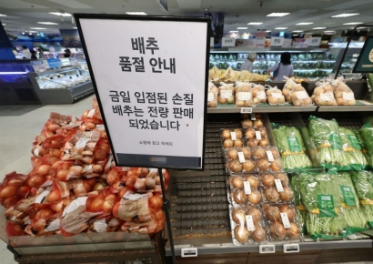 [용산통신]'金배추'에 놀란 용산…"기후변화 대응 역량 강화"