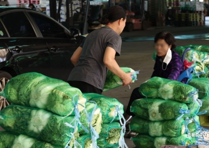 [포토] 폭등한 배추값