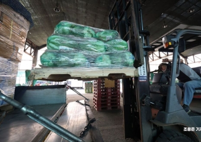 [포토] 배추값 폭등, 중국산배추 긴급 수입