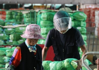 [포토] 중국산배추 긴급 수입