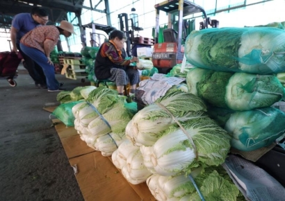 [포토] 배추 살펴보는 시민