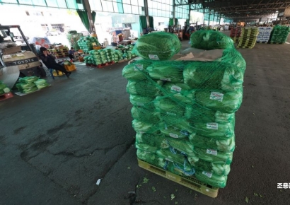 [포토] 중국산배추 긴급 수입