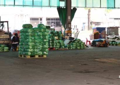 [포토] 썰렁한 가락시장 배추코너