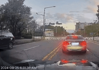 비닐봉지 들고 환경미화원 왜 부르지?…욕 대신 칭찬 받은 운전자