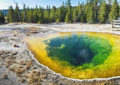 "소원 비는 동전 때문에"…특유의 빛 잃은 美 옐로스톤 온천 호수