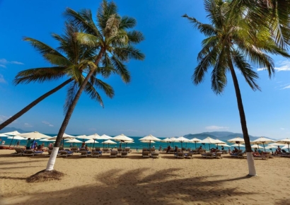 "예약 명단에 없어요"…'경기도 냐짱시' 가짜 호텔 주의보