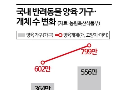"댕댕이 데리고 식당 가요"…내년 상반기 법 개정작업 본격화
