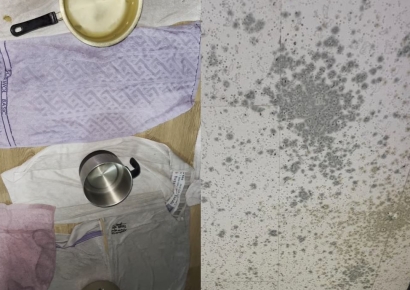 "천장서 물 '뚝뚝' 가족에 미안해"… 군간부 공개 관사실태 '충격'