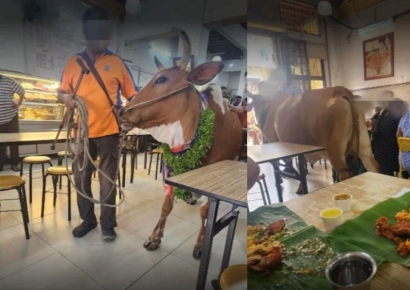 "소가 소변보고 간 식당"…'별점 5점' 말레이 식당서 무슨 일이