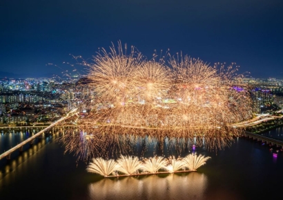 세계불꽃축제 100만 인파 전망에…정부 "질서 유지 협조해달라"