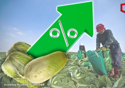 정부 "배추·무 당분간 가격 강세…조기출하 및 수입 확대 추진"