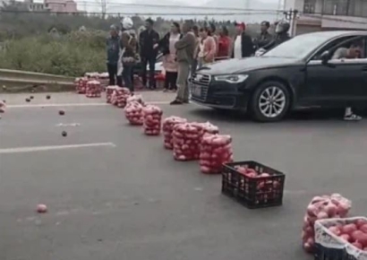 "사과 사주면 비켜줄게"…도로 막아선 중국 농부들 '생떼'