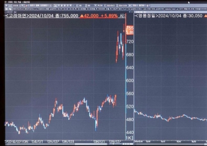 [포토] 연일 급등하는 고려아연-영풍정밀 주가