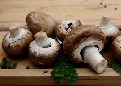 '버섯'으로 만든 컴퓨터가 세상을 구한다? [테크토크]