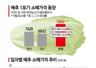 "종가집도 비비고도 품절"…포장김치, 온라인몰 판매 중단