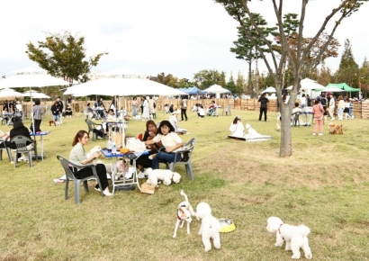 농식품부 "동물 학대시 사육 금지…양형 가이드라인 마련"