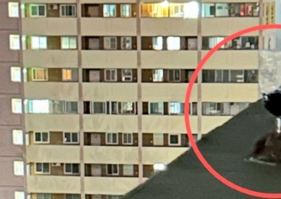 "남의 아파트서 와인들고 뭐하세요?"…"불꽃축제 보려고요"