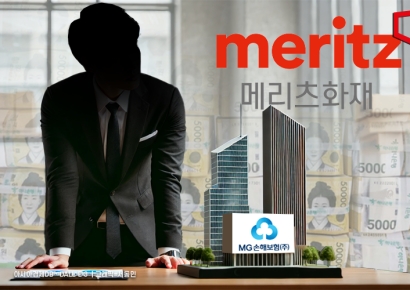 [Why&Next]MG손보 인수 나선 메리츠화재…노림수는?